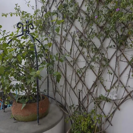 Вилла Villino Prota, Ridente Con Panorama Mozzafiato *